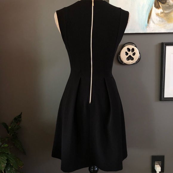 Little Black Dress - Picture 10 of 16